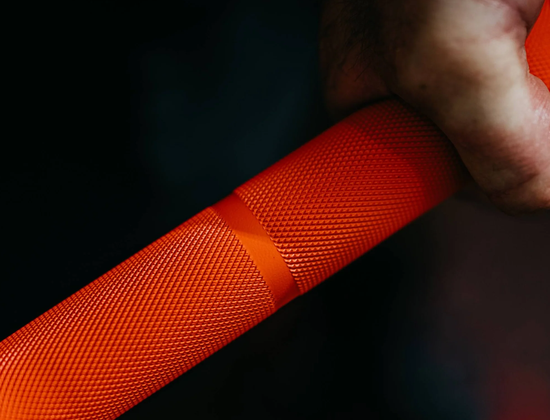 Nike Shield Curl Bar - 10kg