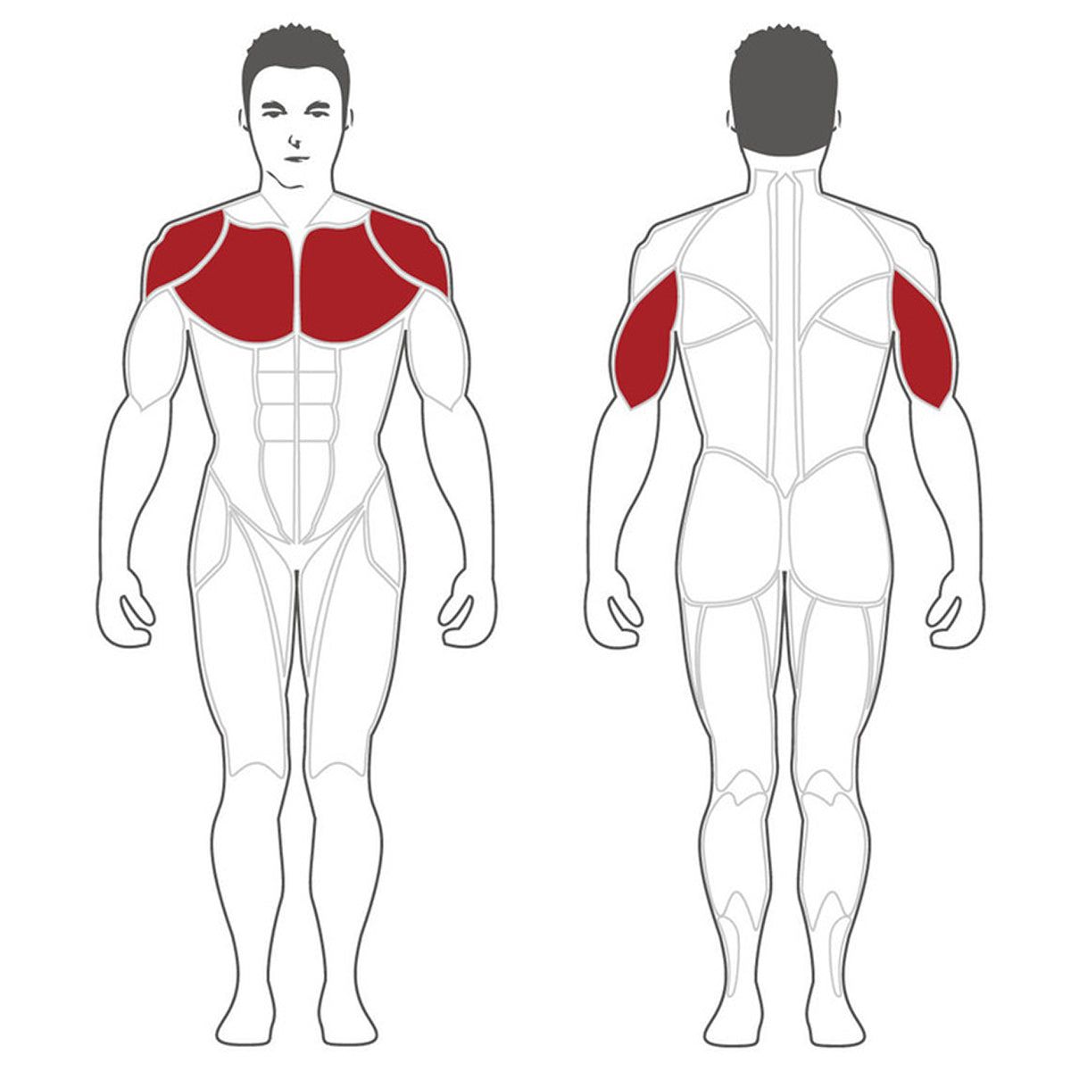 Steelflex Plate Load Banc incliné Presse à bras PLIP-BR
