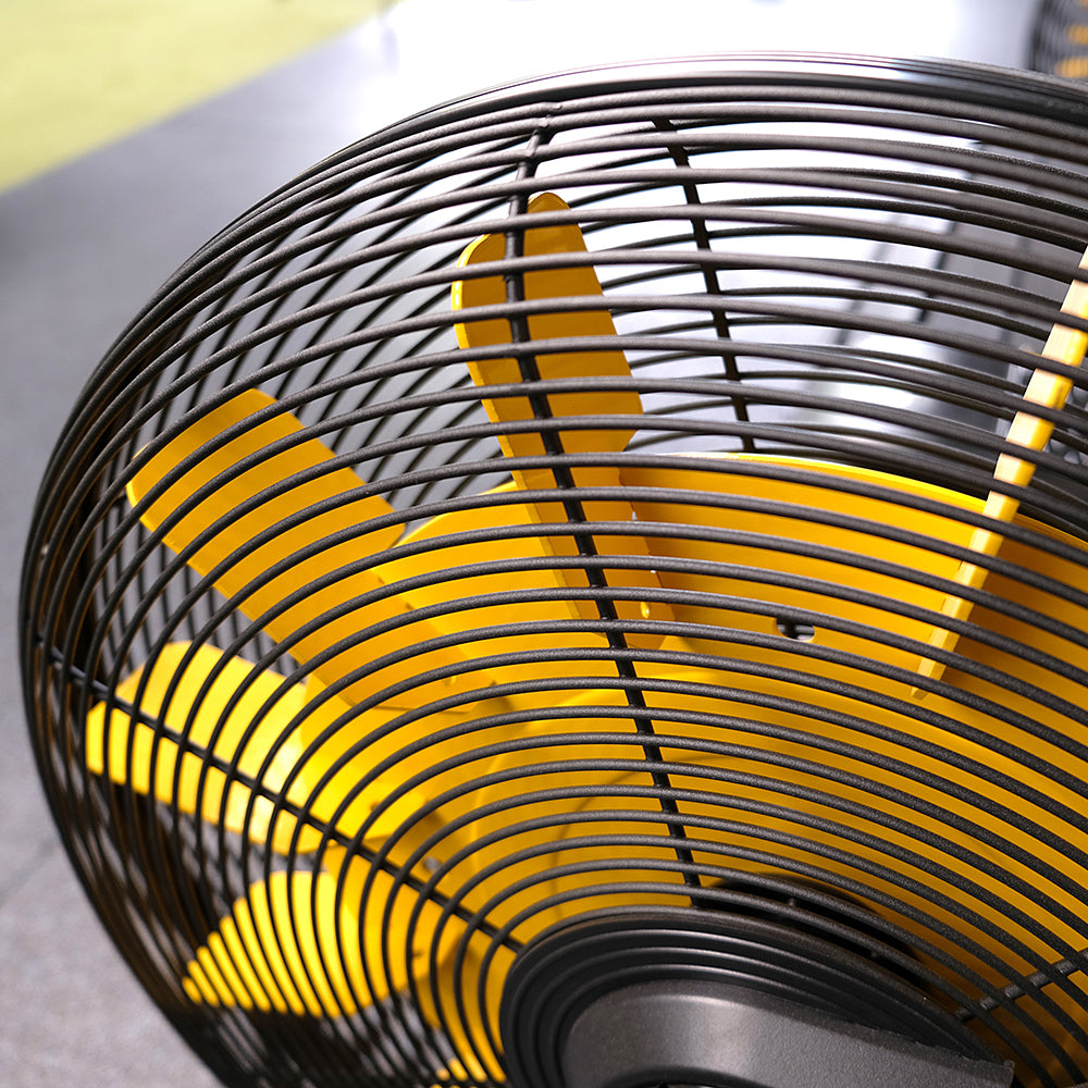 Evocardio Renegade Airbike AB100