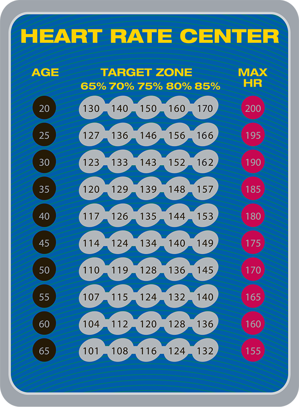 Endurance Elliptique E300